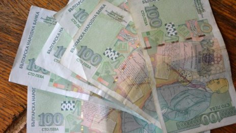Холандски култ дере нашенки с по 600 лв. за курс