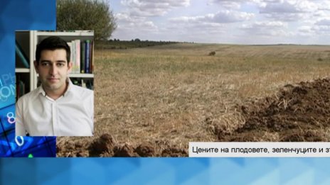 Българското земеделие с нереализиран потенциал 