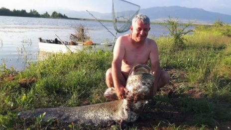 Слука! Хванаха 60-килограмов сом в язовир Берсин