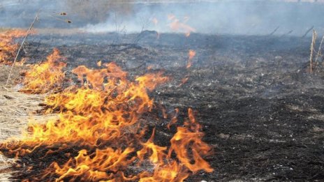 Голям пожар гори и не спира край Пловдив