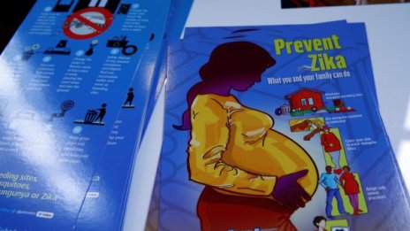 Зика щяла да изчезне от само себе си, до 2-3 г.
