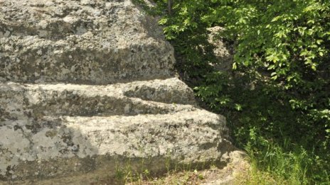 "Змийски град" имало преди хилядолетия край Сърница 