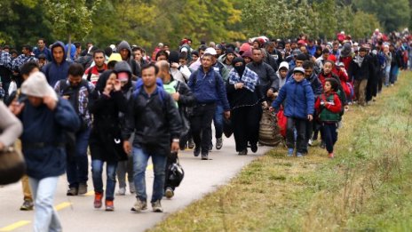 И ние да си направим референдум за бежанците!