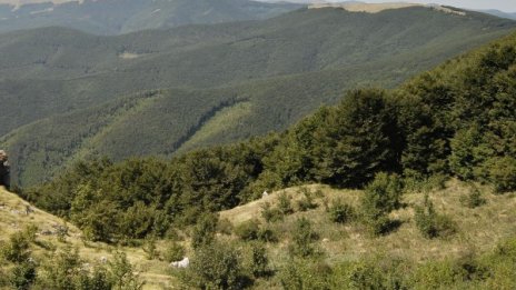 Спасиха изгубено в планината семейство