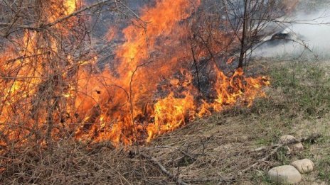 Гора и сухи треви горят в крайграничната община Болярово