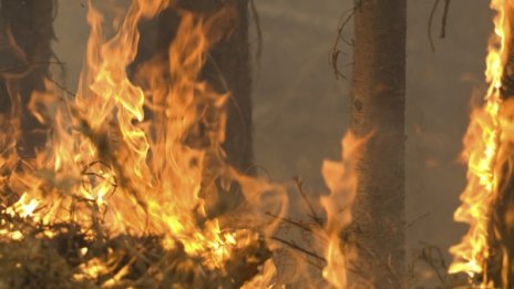 Локализиран е пожарът в района на Болярово