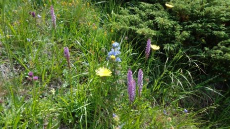 Утре жега, жълт код за цялата страна