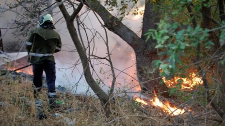 Отново голям пожар гори в Хасковско
