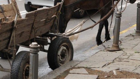 31 акта написаха за каруци през юли в Сливен 