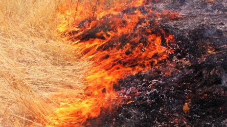 Червен код за опасност от пожари в 14 области