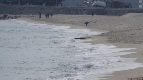 140 удавници на година, само 1/4 в морето 