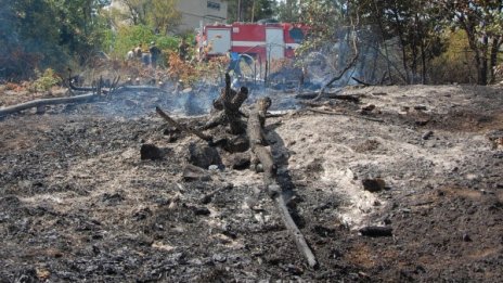 50 декара лозя изгоряха край Свиленград