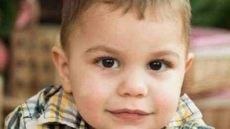 Нека помогнем! Коко пак има нужда от нашата помощ