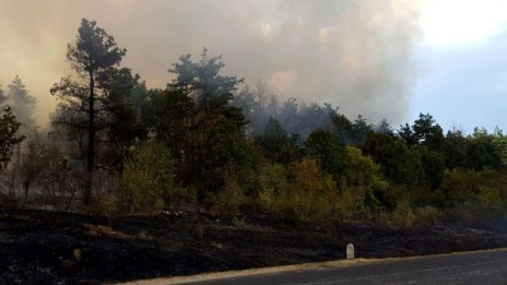 Пак бедствено положение в Харманли заради пожар