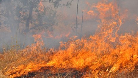 Спасиха семейство от огнения ад в Харманли