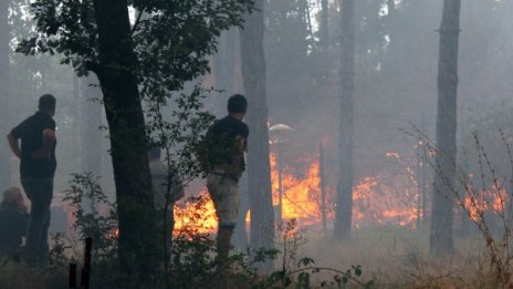 Огнен ад край Харманли, изпепелени са 3000 дка