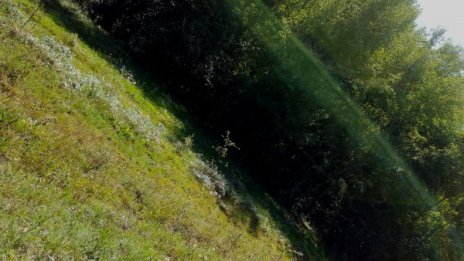 Утре остава слънчево, градусите - до 31