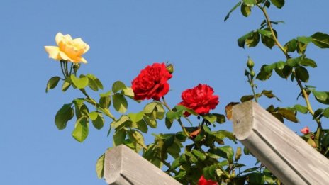 Ясно, слънчево и морско ще е времето утре