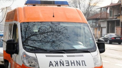 Като филм на ужасите: Плъхове нахапаха детенце&hellip;