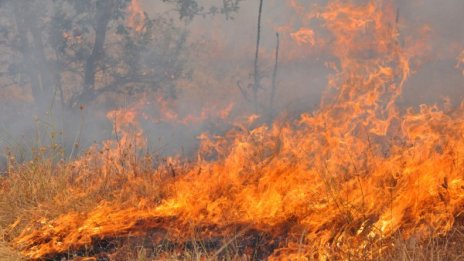 Огромен пожар бушува между харманлийски села