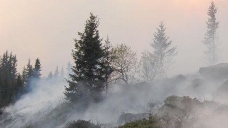 Пожарът в Средец изпепели 3 800 декара гора и треви