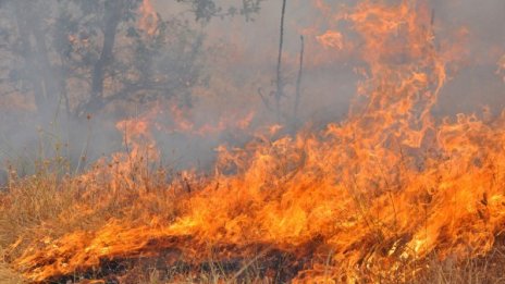Овладян е пожарът край Харманли