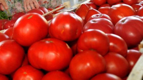 Изчезват ли българските домати от пазара?