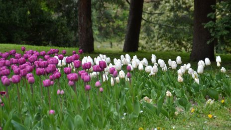 Слънчево ще е утре, сутринта на отделни места са възможни слани