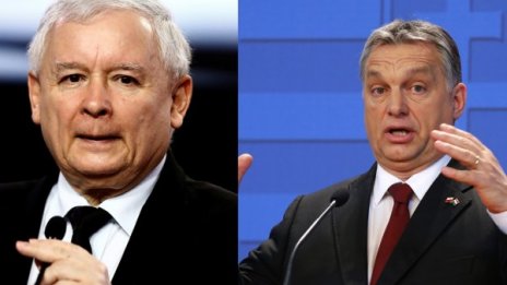 Полско-унгарският съюз за "крадене на коне" тревожи Брюксел