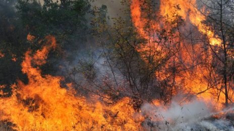 Пожар в община Харманли обхвана към 15 000 дка площи
