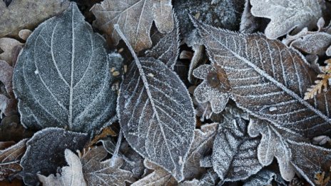 Слани сутринта, слънце след това &ndash; времето днес