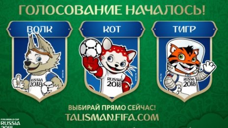 Вълк, котка или тигър – избираме талисмана за световното в Русия