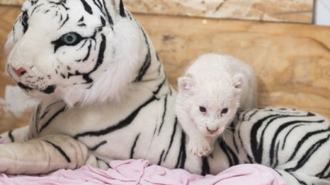 Денят в снимки – 28 септември