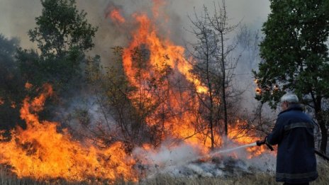 Пожар гори край село до Бобошево