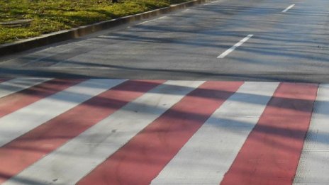 Патрулка отнесе две момиченца на "зебра" в Шумен