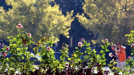 Утре - слънчево и топло, до 30 градуса