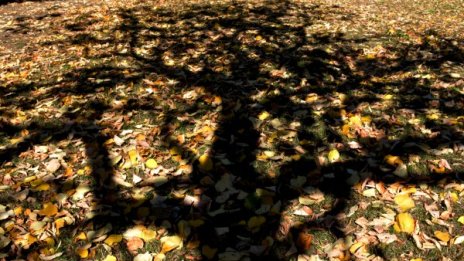 Утре ще ни радва повече слънце през деня