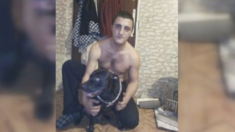 Питбул разкъса дворно куче, собственикът му – безучастен
