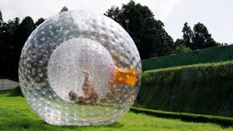 Език мой, враг мой: Осакатяват ли новите думи речта?