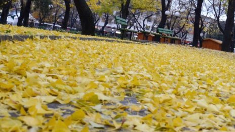 Не забравяйте чадърите, утре отново ще вали