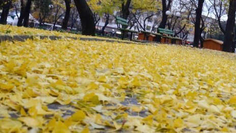 Облачна събота и неделя, но без дъжд