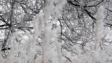 Прогноза: 800 хил. туристи у нас през ноември и декември