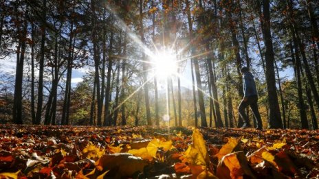 Силен вятър ще ни брули днес, но няма да вали