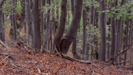 Англичанка пренощува в районното, не знаела къде е 