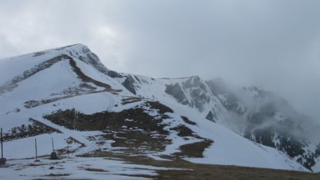 Къде откриха Миро? В гъста мъгла и сняг