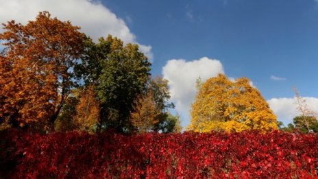 Времето в четвъртък: Слънчева сутрин, облачен следобед