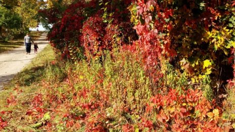 Времето днес: Слънчево с температури до 17&deg;