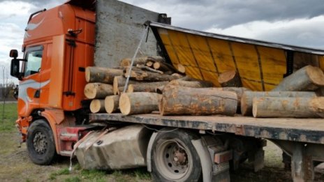 Пиян тираджия разпиля дърва на кръгово във Враца