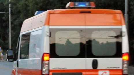 15 души загинаха при ПТП-та у нас за седмица