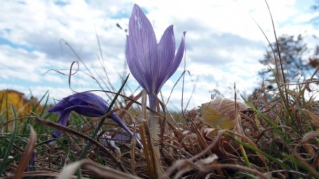 Слънцето се усмихва утре, облаците намаляват